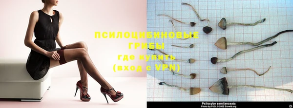 spice Липки