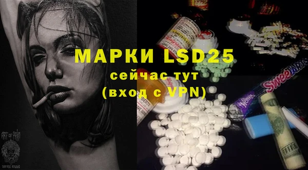 spice Липки