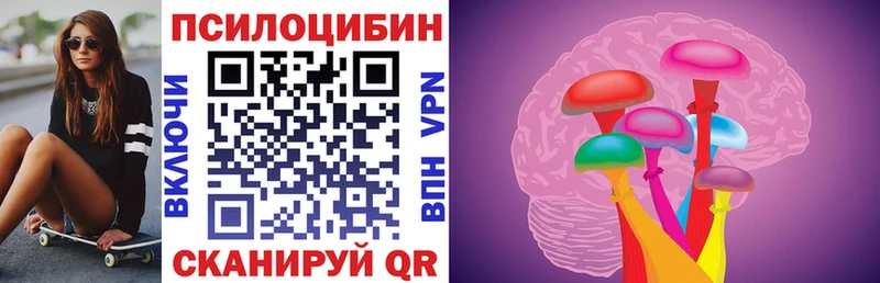 Псилоцибиновые грибы Psilocybe  Шадринск 